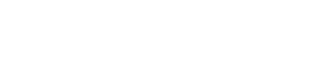 Pro Crawlspace Repair logo white